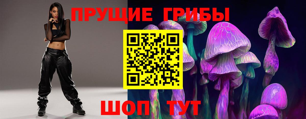 Галлюциногенные грибы Psilocybine cubensis  Вход с VPN  Киржач 